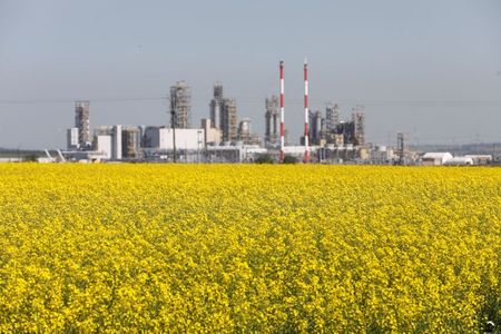Cultivo de canola em Alberta, Canadá Cultivo de canola em Alberta, Canadá