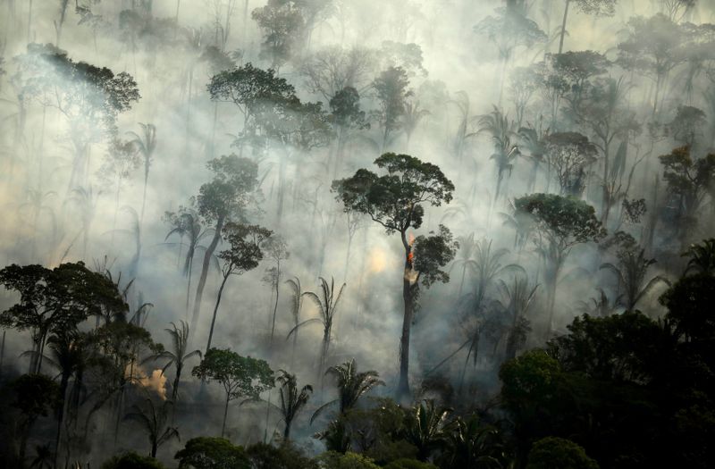 Floresta Amazônica incendiada perto de Porto Velho