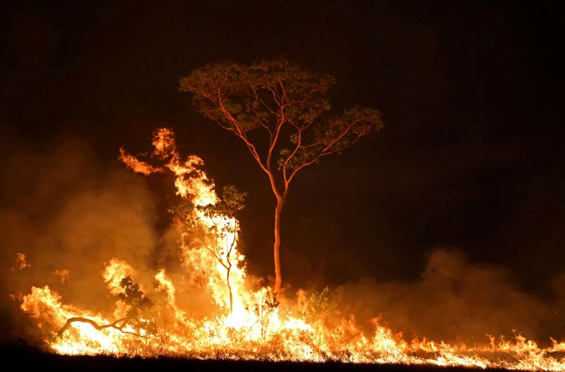 Incêndio em terra indígena no Estado do Amazonas