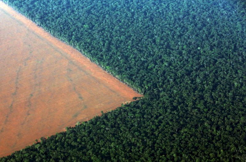 Desmatamento na floresta amazônica, em Mato Grosso