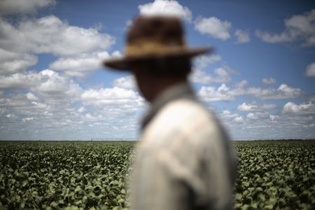 Agricultor em plantação de soja no Brasil