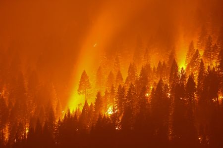 Incêndio florestal na Califórnia