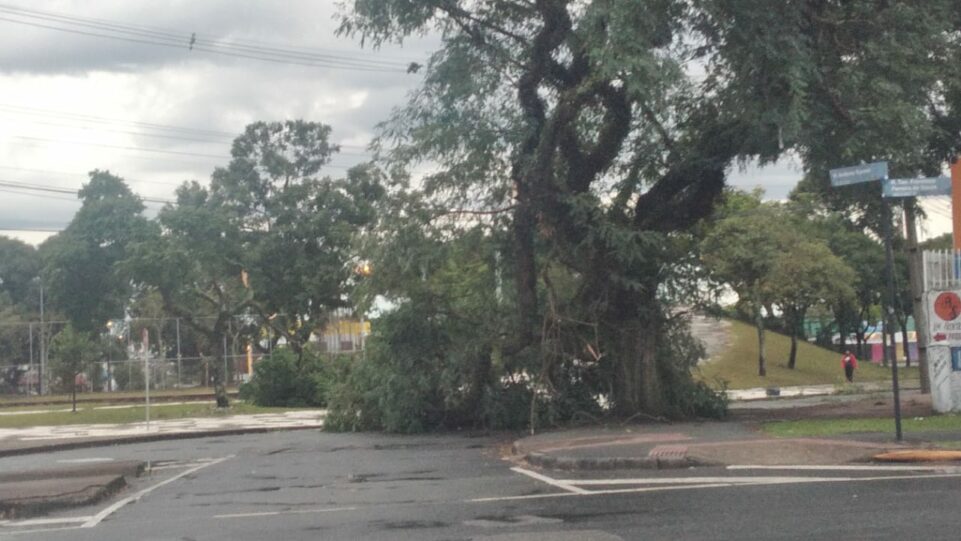 Colaboração/Rede News 24h