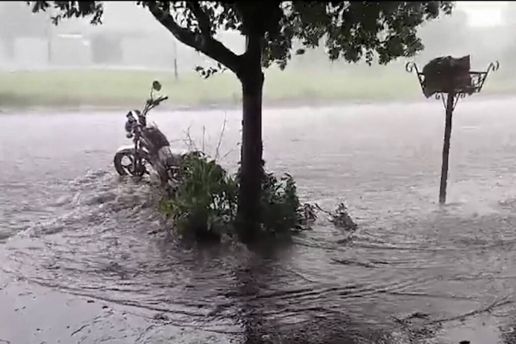 temporal-em-maringa-video temporal-em-maringa-video