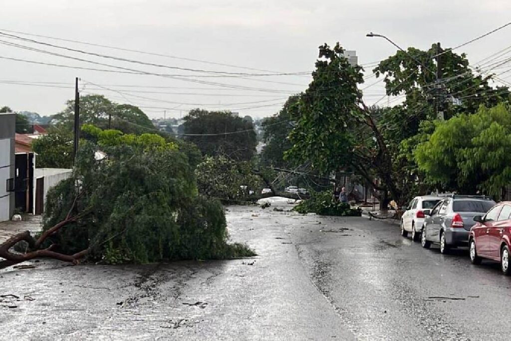 temporal-no-parana-antige-19-mil-pessoas temporal-no-parana-antige-19-mil-pessoas