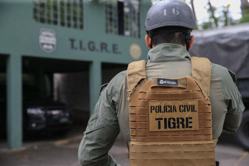 TIGRE