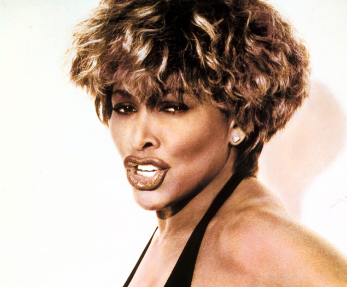 tina-turner-heranca