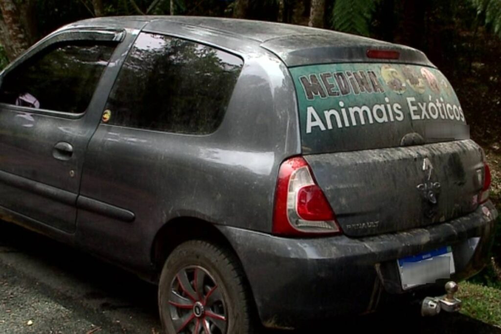trafico-animais-curitiba trafico-animais-curitiba