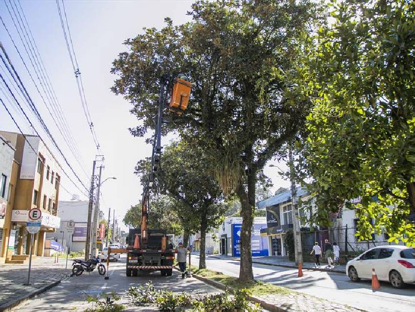 transito-centro-de-curitiba-mudanca