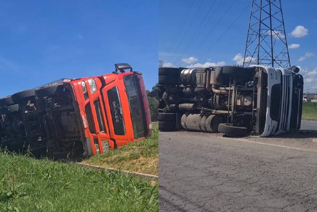 transito-cic