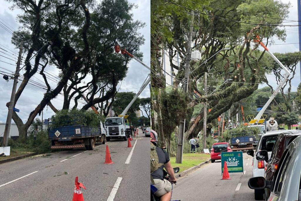 transito-curitiba-agua-verde-arvores