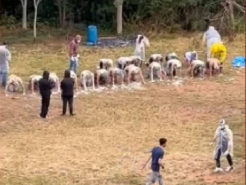 ufpr-trote-violento-curitiba