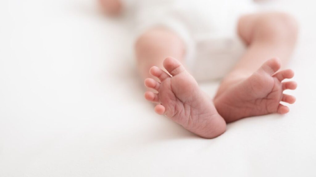 uti-neonatal-curitiba