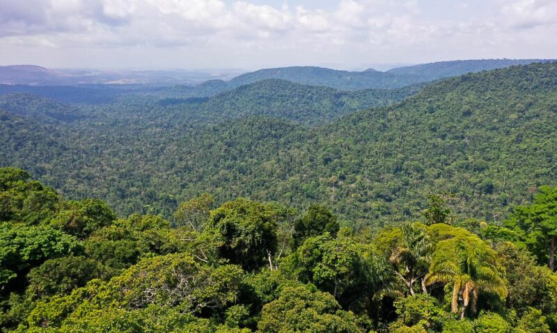 vice-presidente_da_republica_hamilton_mourao_carajas_missoes_diplomaticas_a_amazonia_oriental0809210165-e1637345454697 vice-presidente_da_republica_hamilton_mourao_carajas_missoes_diplomaticas_a_amazonia_oriental0809210165-e1637345454697