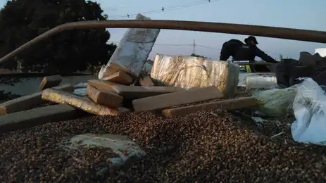 divulgação/Ministério da Justiça Ministério da Justiça e Segurança Pública registra a maior apreensão de drogas da história do país