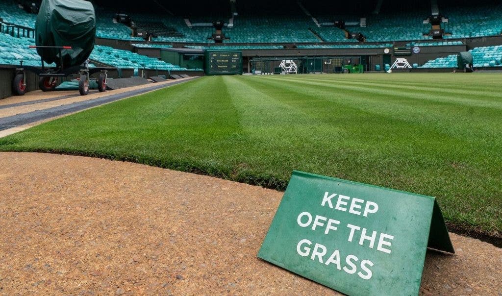 wimbledon