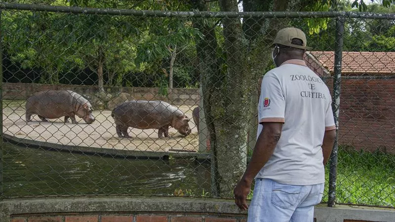 zoologico-de-curitiba-horario