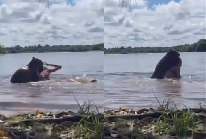 capivara-ataca-mulher