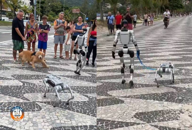 robo-rio-de-janeiro