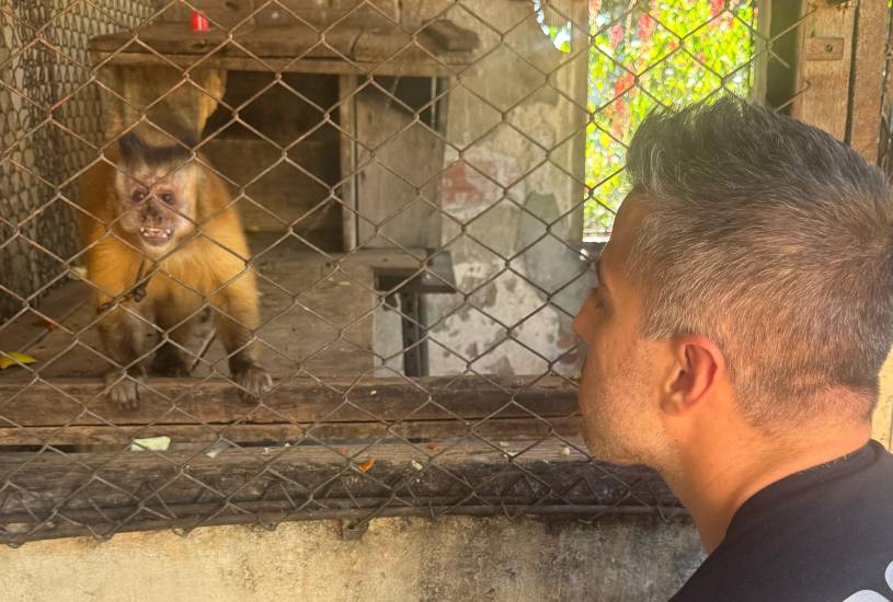 policia-resgata-macaco