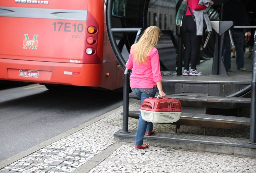 transporar-animais-onibus-curitiba