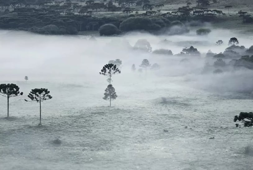 geada-em-santa-catarina