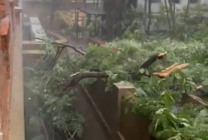 temporal-em-sao-paulo