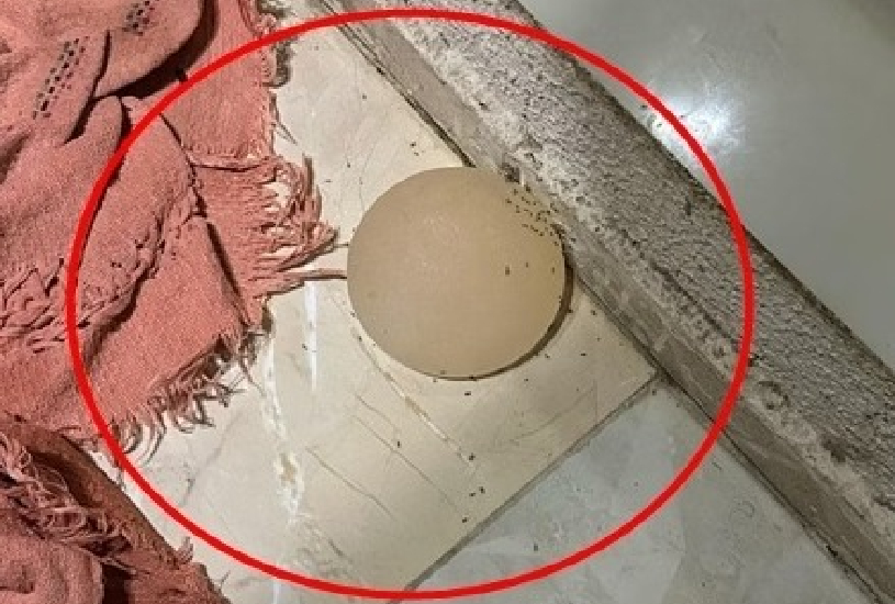 esposa-silicone