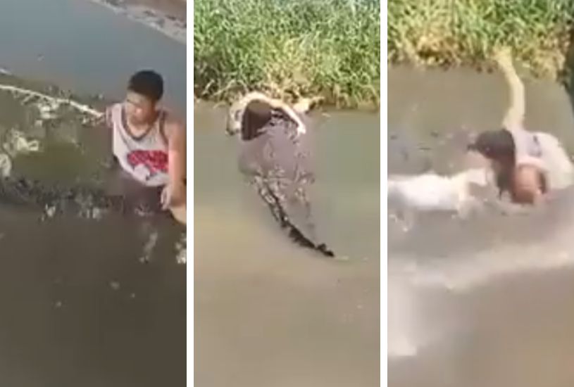 animal-de-zoologico-ataca-turista-video