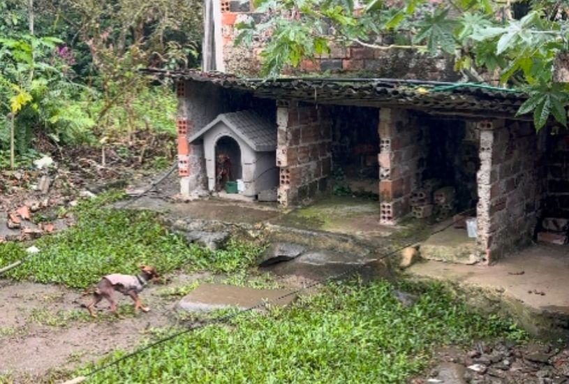 canil-clandestino-animais-vitimas-maus-tratos