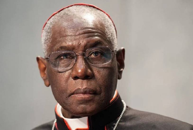proximo-papa