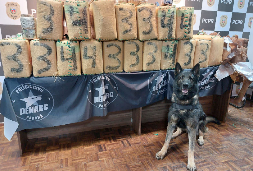 cachorro-da-policia