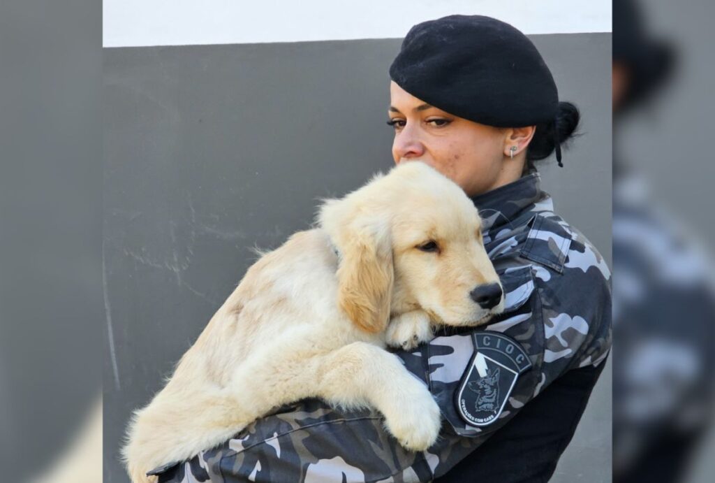 cachorro-policial-de-terapia-transtorno-espectro-autista