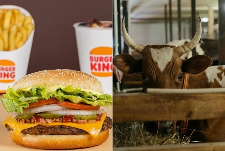 corno burger king corno burger king