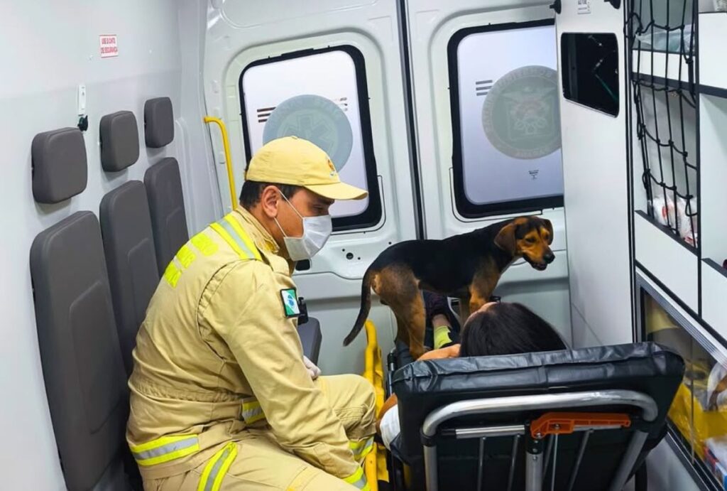 atendimento-bombeiros