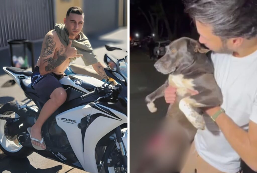 cachorro-baleado-homem-executado-parana