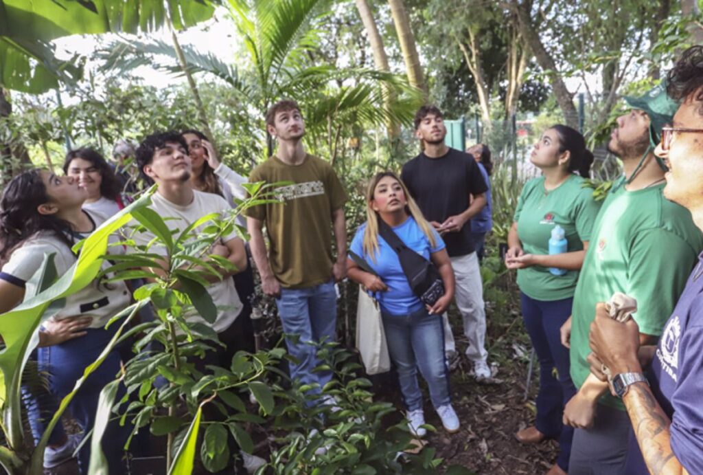 cursos-gratuitos-curitiba-fazenda-urbana
