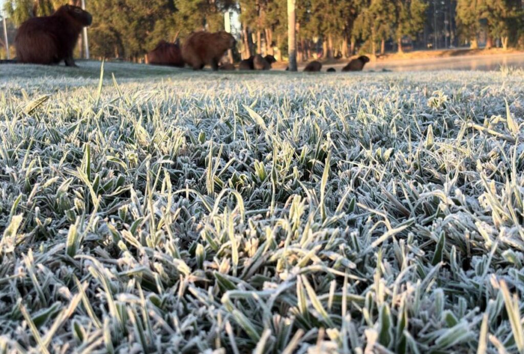 frio-curitiba-julho
