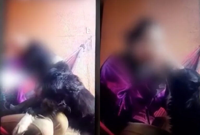 mulher-queima-cachorro mulher-queima-cachorro