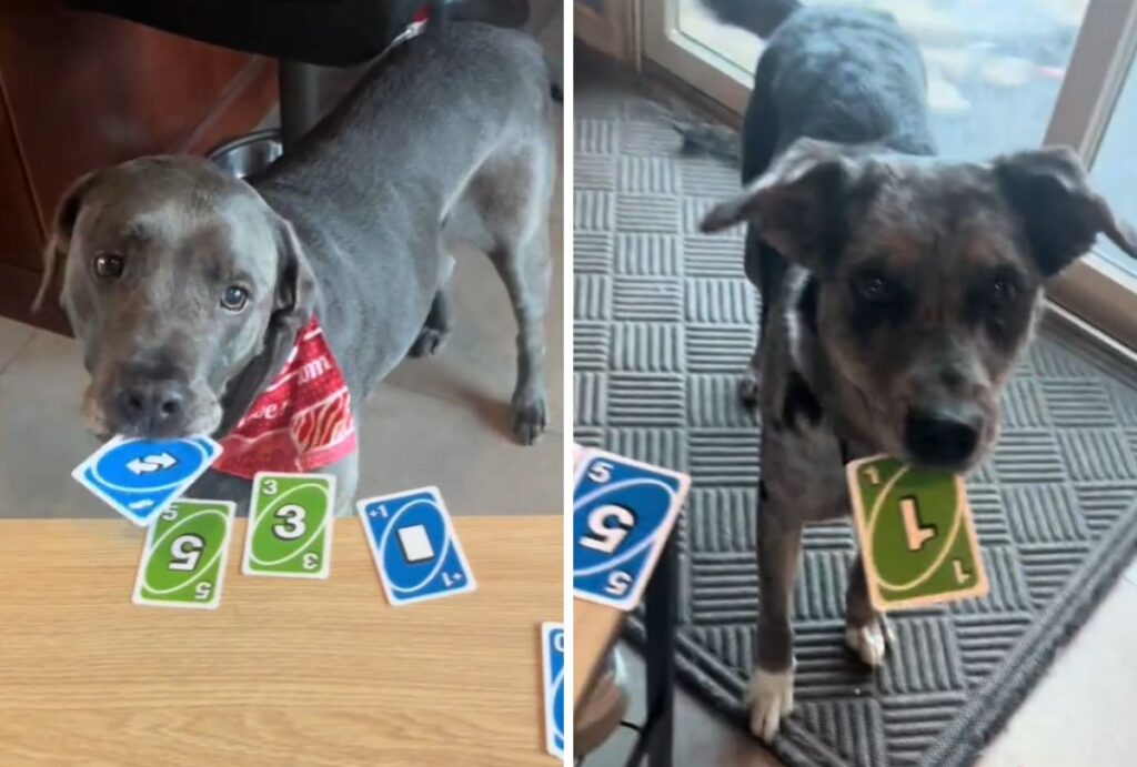 mulher-viraliza-no-tiktok-uno