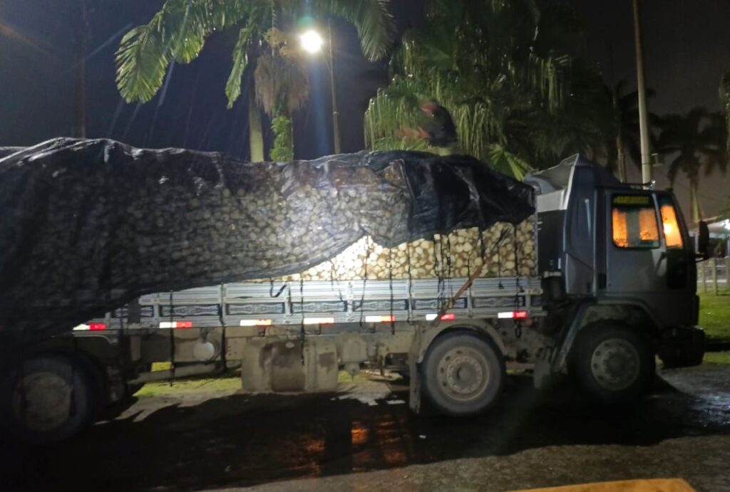 palmito-jucara-carga-ilegal-apreendida