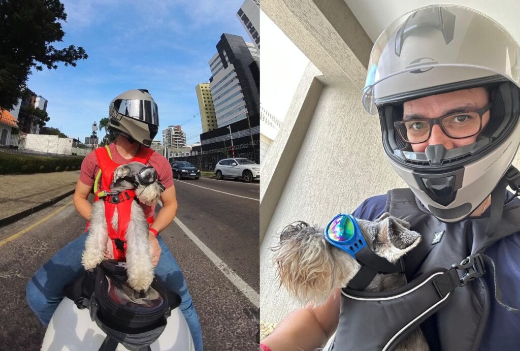 cachorro-passeando-de-moto