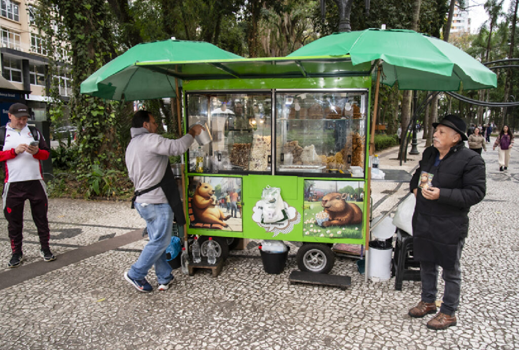 como-trabalhar-de-ambulante