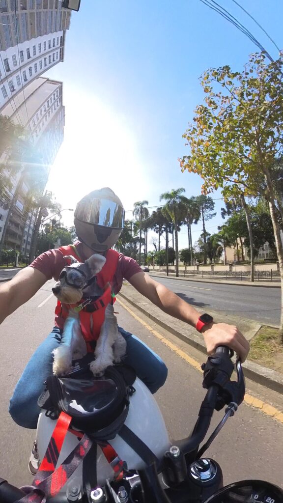 curitiba-moto