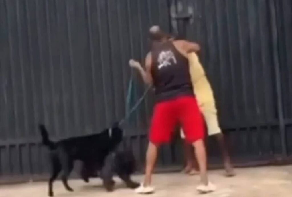 homens-brigando-na-rua-cachorro