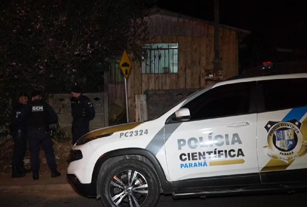 noticias-de-ponta-grossa-feto-sacola