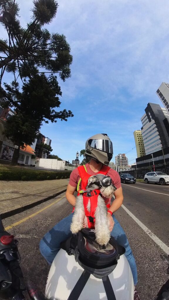 passeio-cachorro