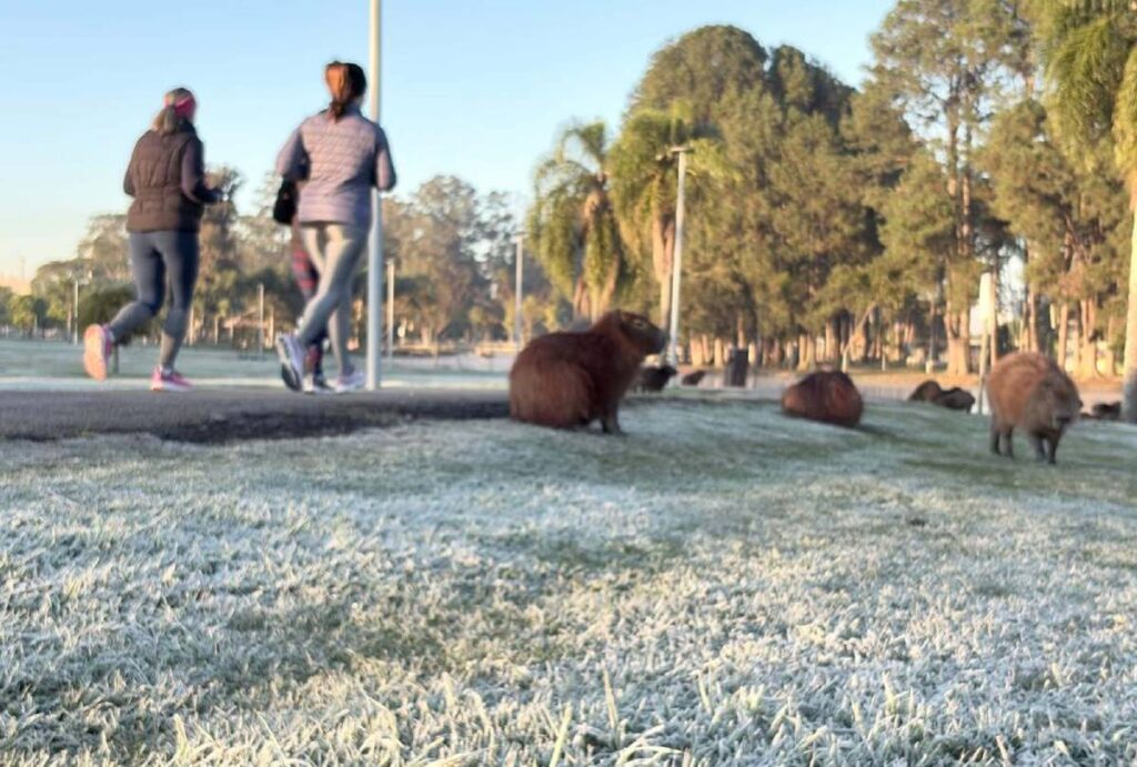 onda-de-frio-parana-setembro