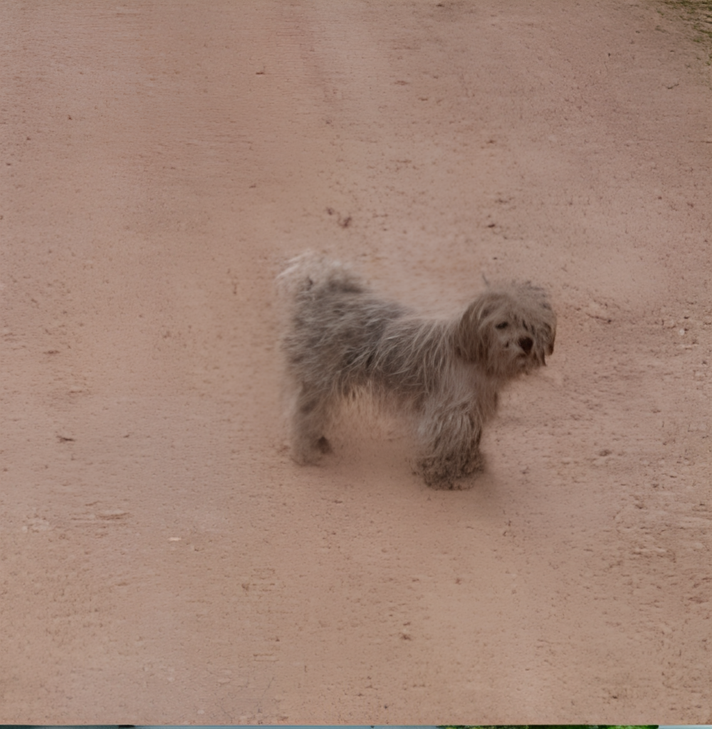 Nico antes