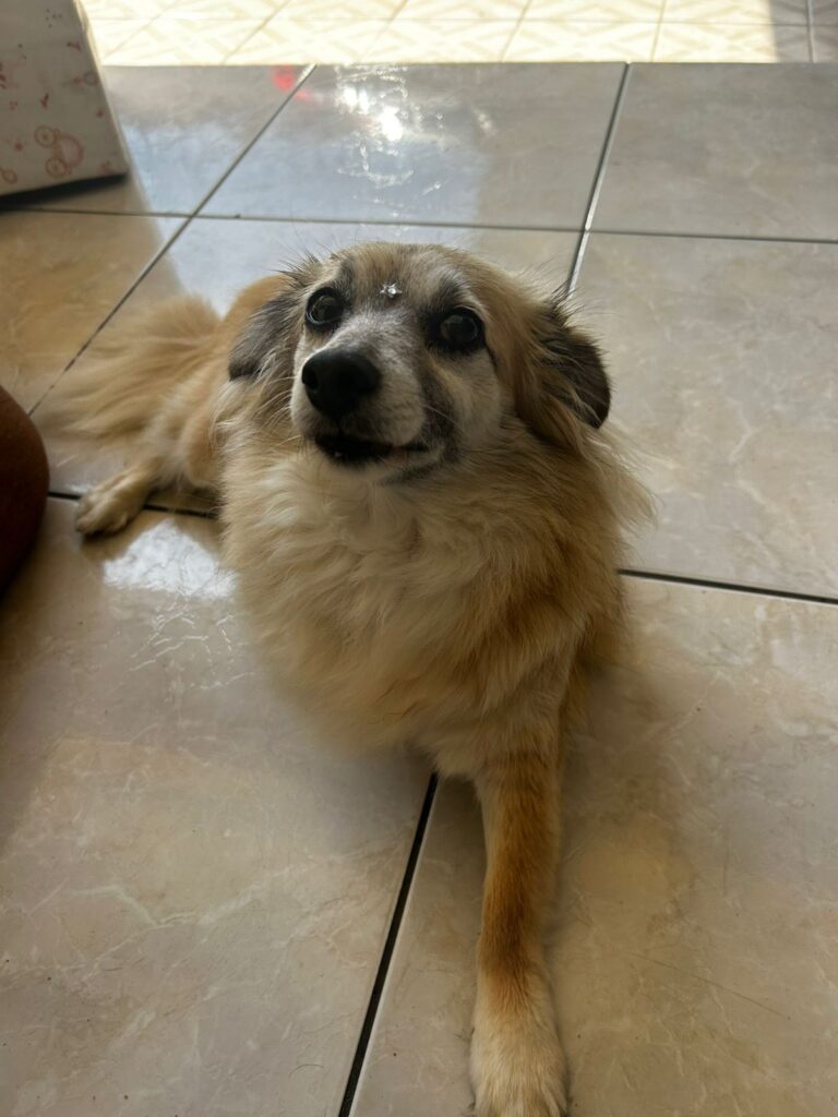 Skye depois